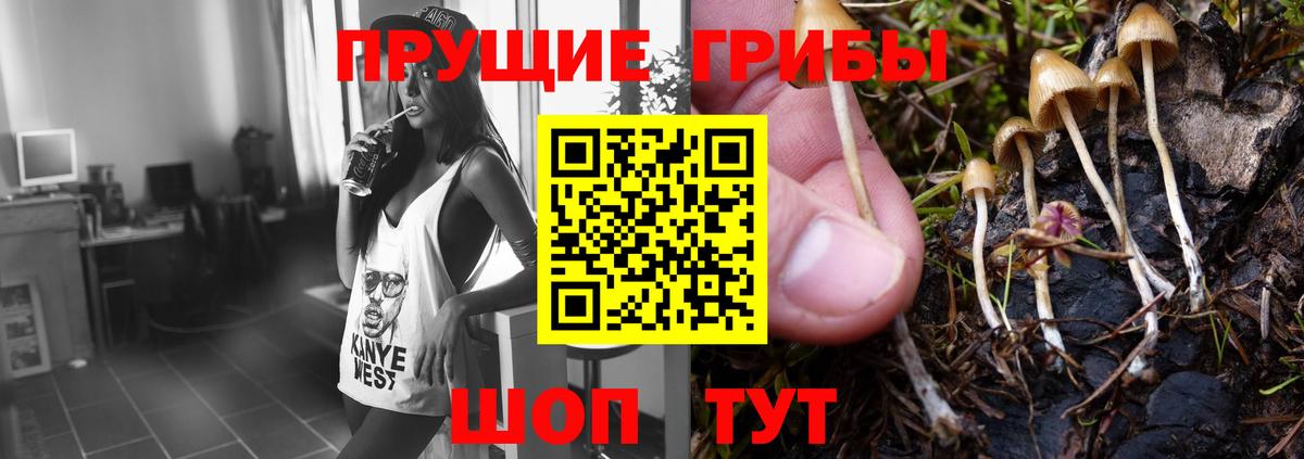 сколько стоит  Галлюциногенные грибы ЛСД  Елец  Вход с VPN  Галлюциногенные грибы Magic Shrooms 
